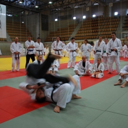 jiuday2013-015