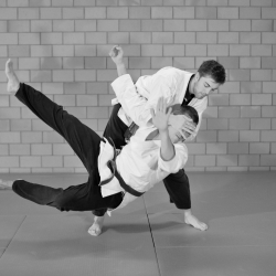 aikido-1