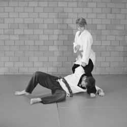 aikido-2